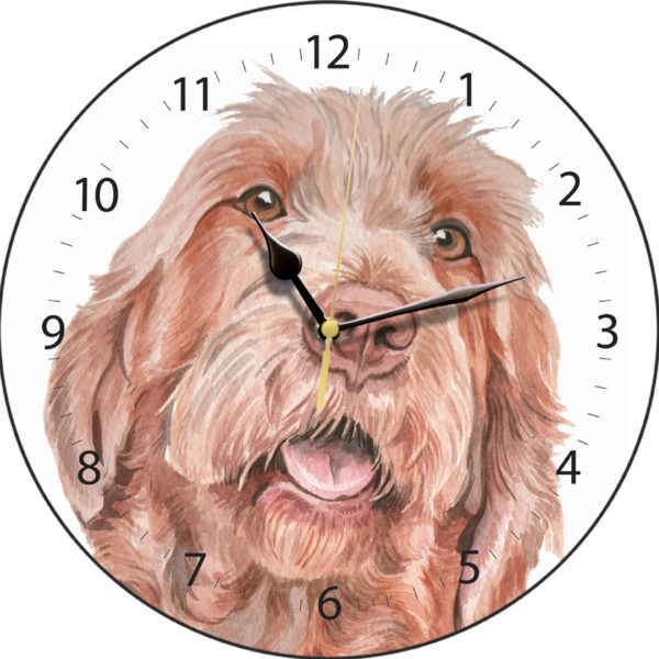 Wirehaired Hungarian Vizsla Dog Clock