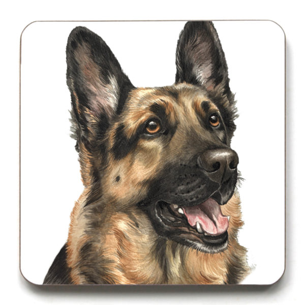 German Shepherd