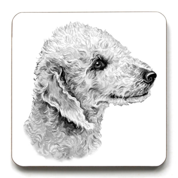 Bedlington Terrier