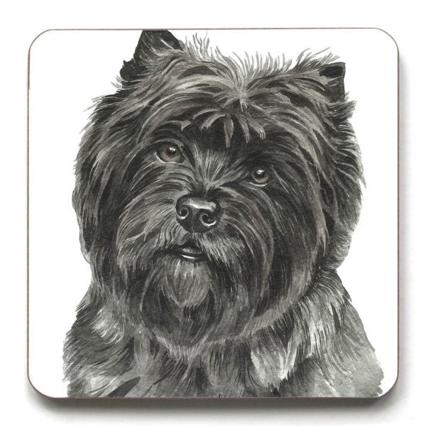 Cairn Terrier