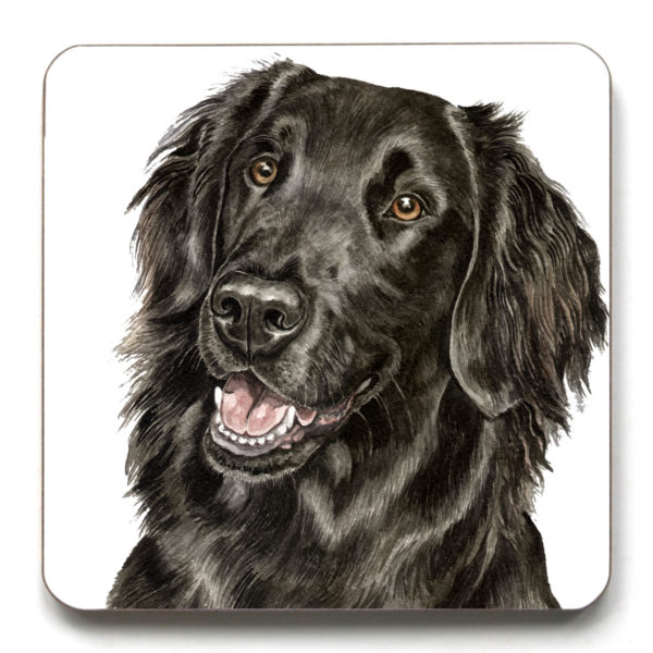 Flat-Coated Retriever