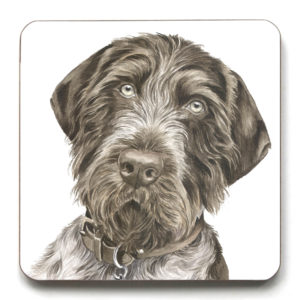 German Wirehaired Pointer Archives - WaggyDogz