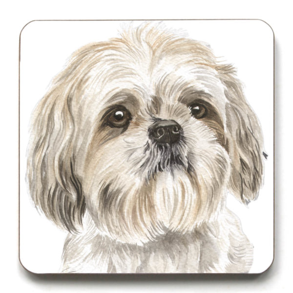 Shih Tzu