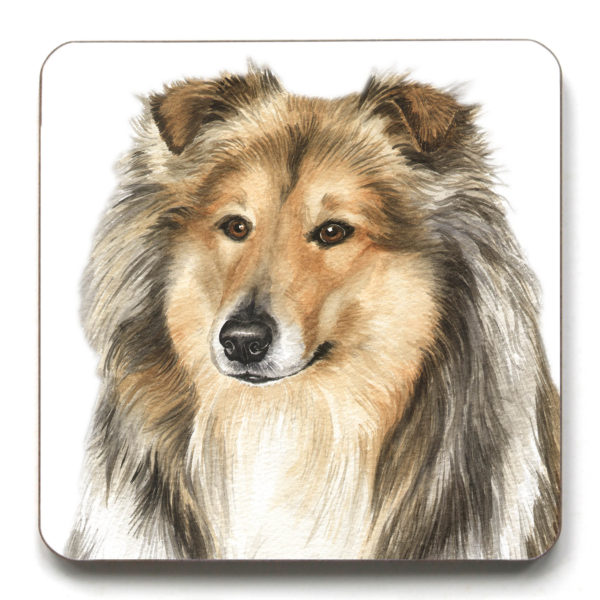 Rough Collie