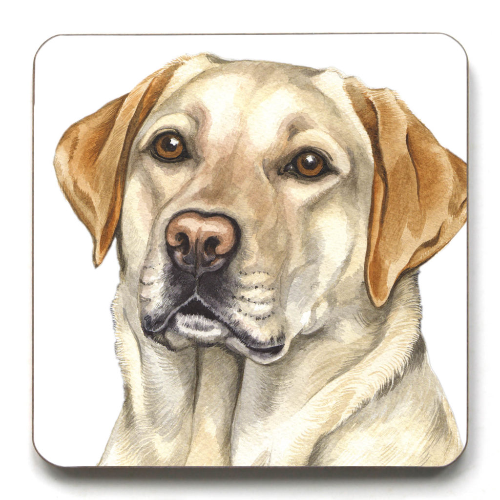 Golden Labrador Archives - WaggyDogz