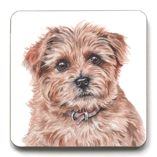 Norfolk Terrier