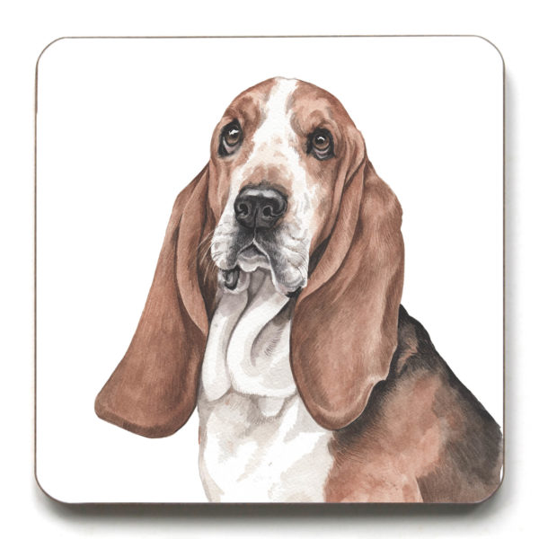 Basset Hound