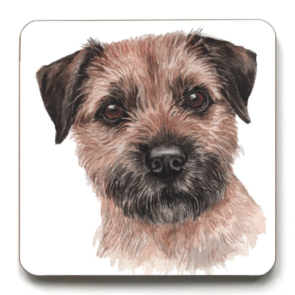 Border Terrier