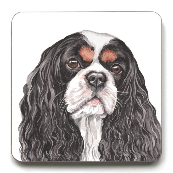 Cavalier King Charles Spaniel