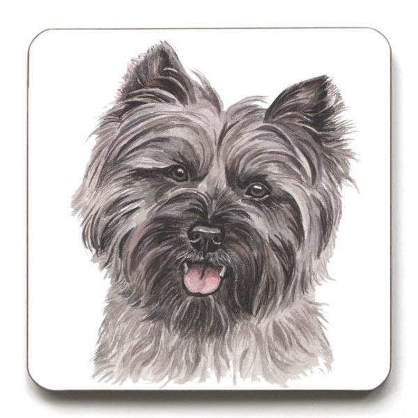 Cairn Terrier