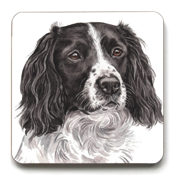 Springer Spaniel