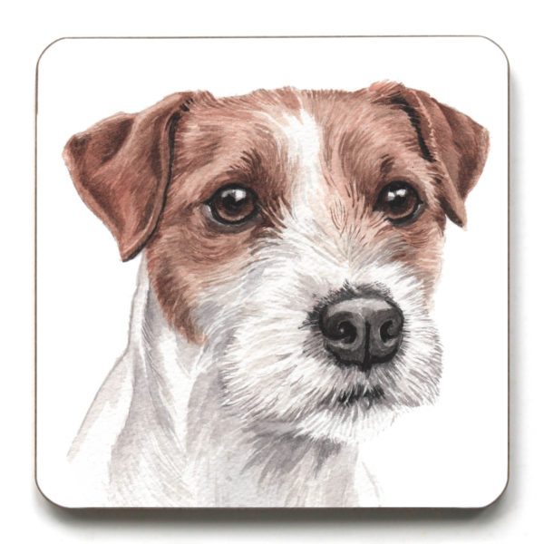 Parson Jack Russell