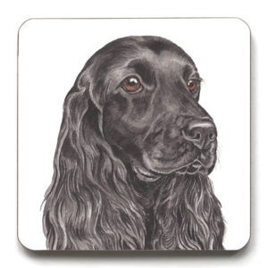 Cocker Spaniel