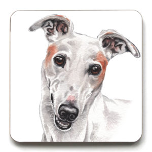 Greyhound