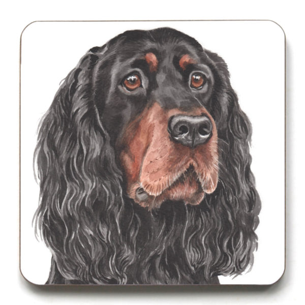 Gordon Setter