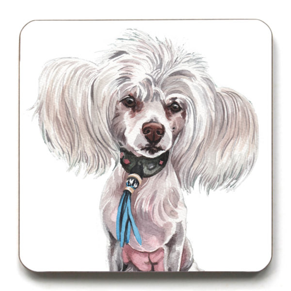 Chinese Crested