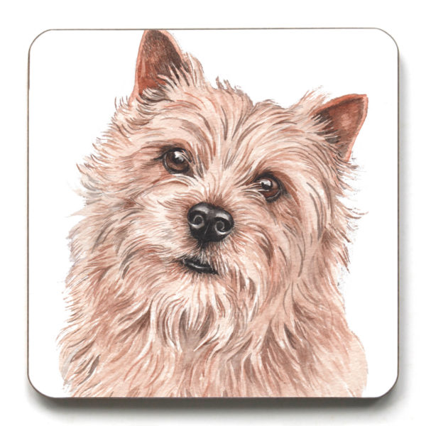 Norwich Terrier