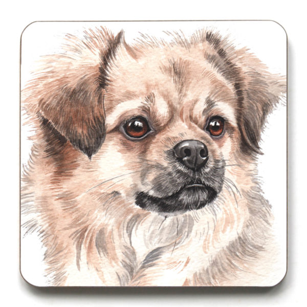 Tibetan Spaniel