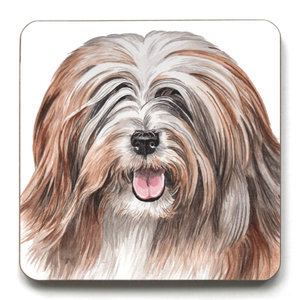 Tibetan Terrier