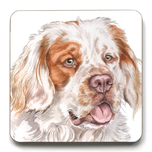 Clumber Spaniel