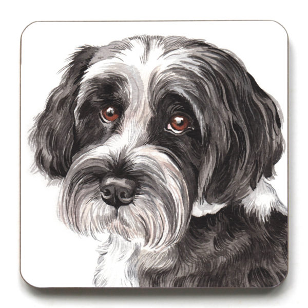 Tibetan Terrier