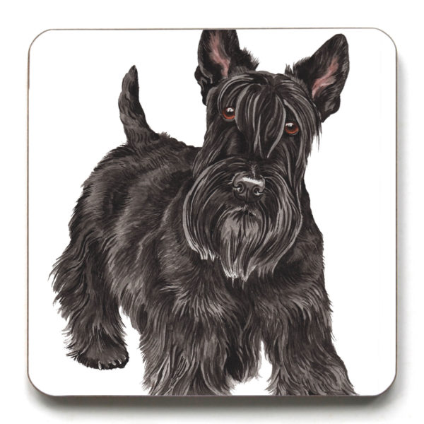 Scottish Terrier