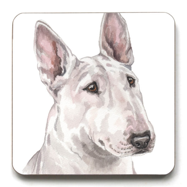 English Bull Terrier