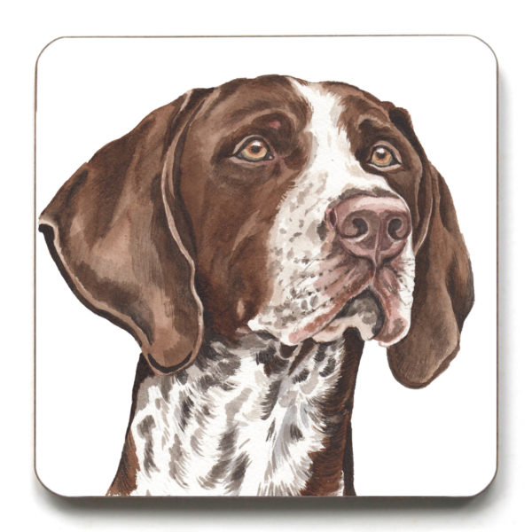 German Shorthaired Pointer