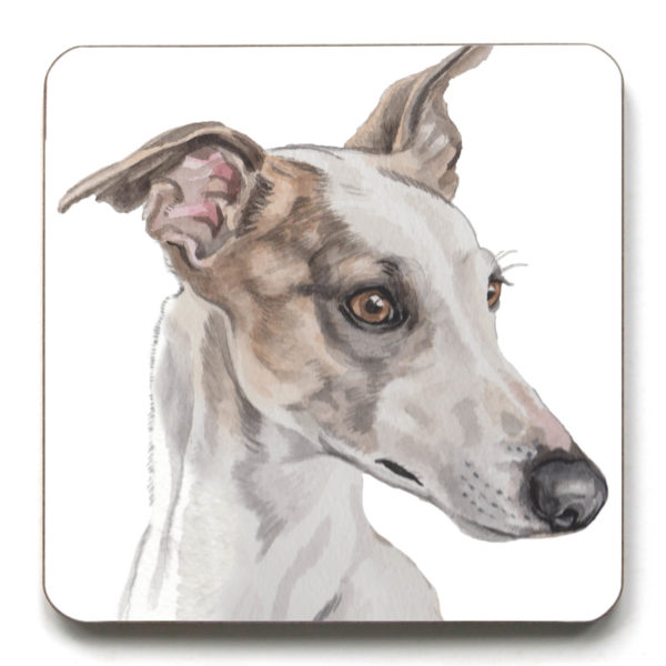 Greyhound