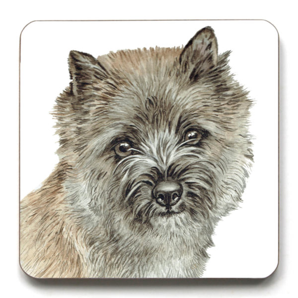 Cairn Terrier