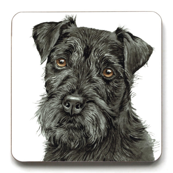 Patterdale Terrier