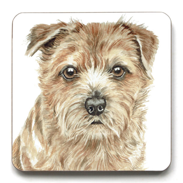 Norfolk Terrier