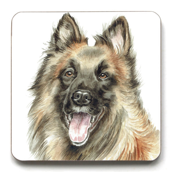 Belgian Shepherd