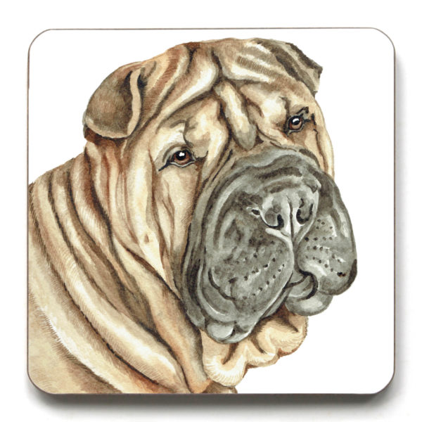 Shar Pei