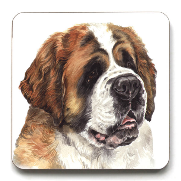 St. Bernard