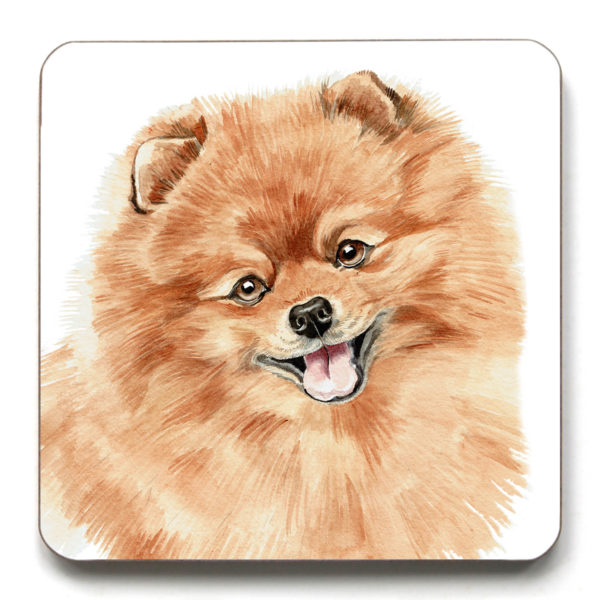 Pomeranian