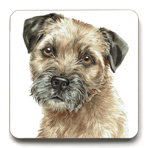 Border Terrier