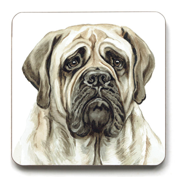 English Bull Mastiff