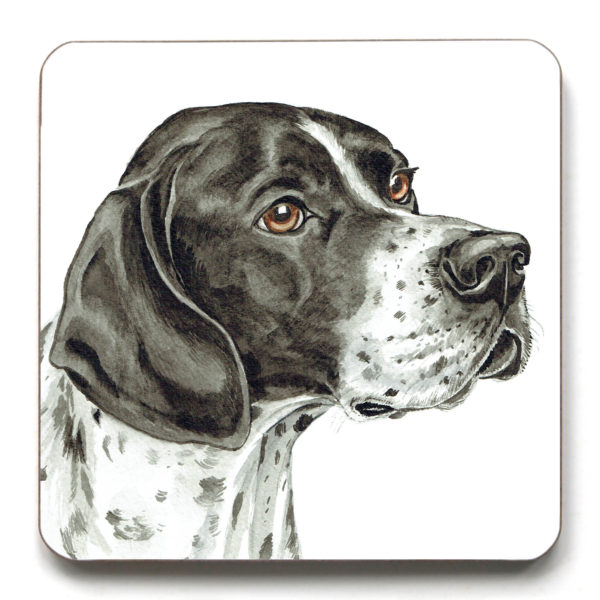 English Pointer