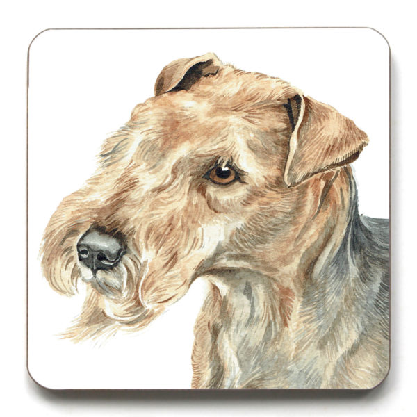 Lakeland Terrier