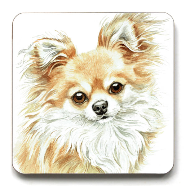 Fawn Long-Haired Chihuahua (CST-255)