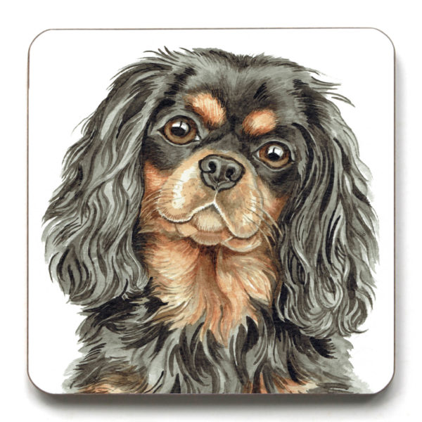 Tri Black And Tan Cavalier King Charles Spaniel Dog Breed (CST-259)