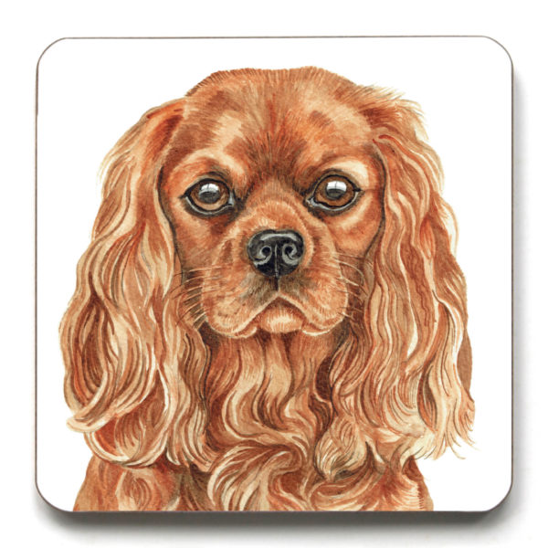 Ruby Cavalier King Charles Spaniel (CST-260)