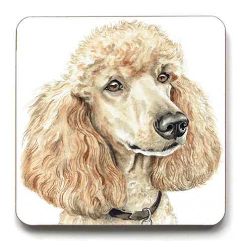 Apricot Poodle Dog Breed Coaster CST-265