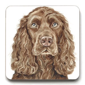 Chocolate Cocker Spaniel