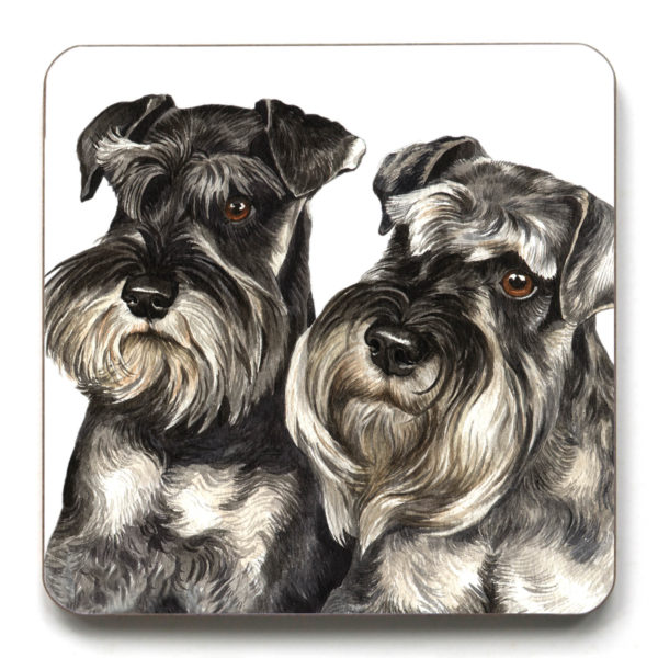 Miniature Schnauzer Pair