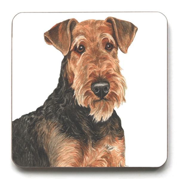 Airedale Terrier