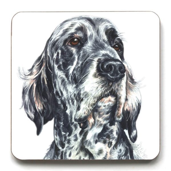 English Setter