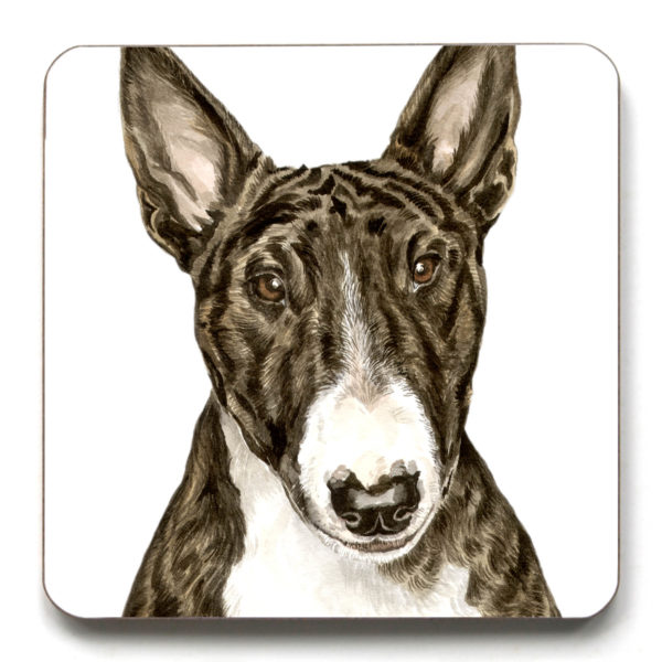 English Bull Terrier