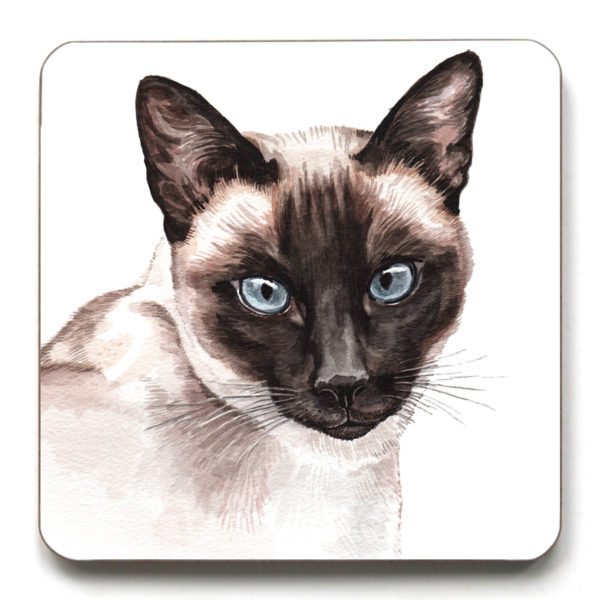 Siamese Cat